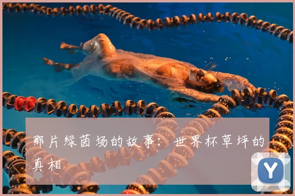 那片绿茵场的故事：世界杯草坪的真相