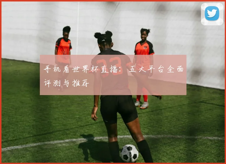 手机看世界杯直播：五大平台全面评测与推荐
