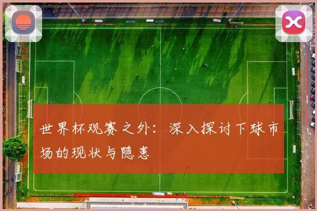世界杯观赛之外:深入探讨下球市场的现状与隐患