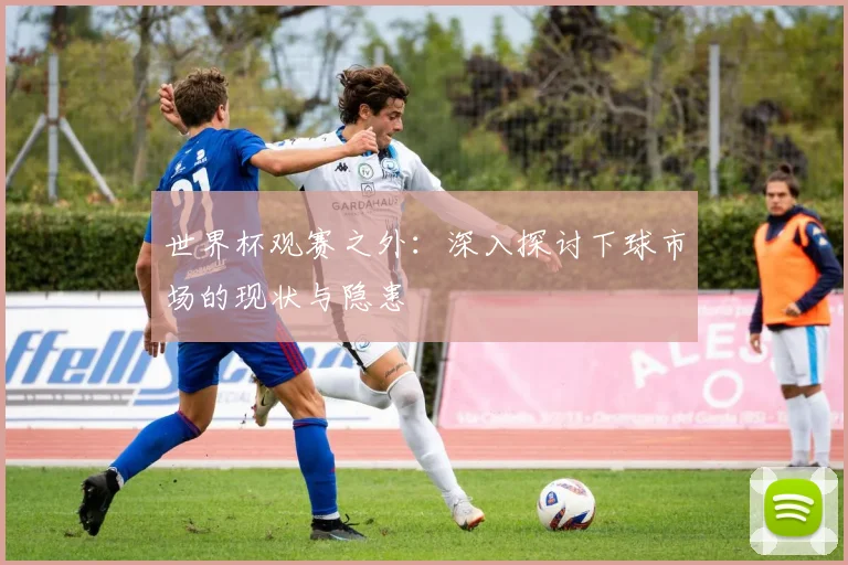 世界杯观赛之外:深入探讨下球市场的现状与隐患