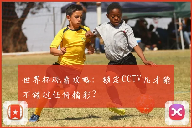 世界杯观看攻略：锁定CCTV几才能不错过任何精彩？