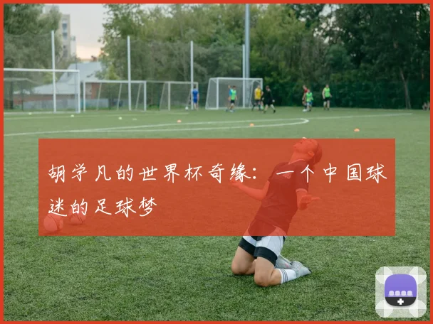 胡学凡的世界杯奇缘：一个中国球迷的足球梦