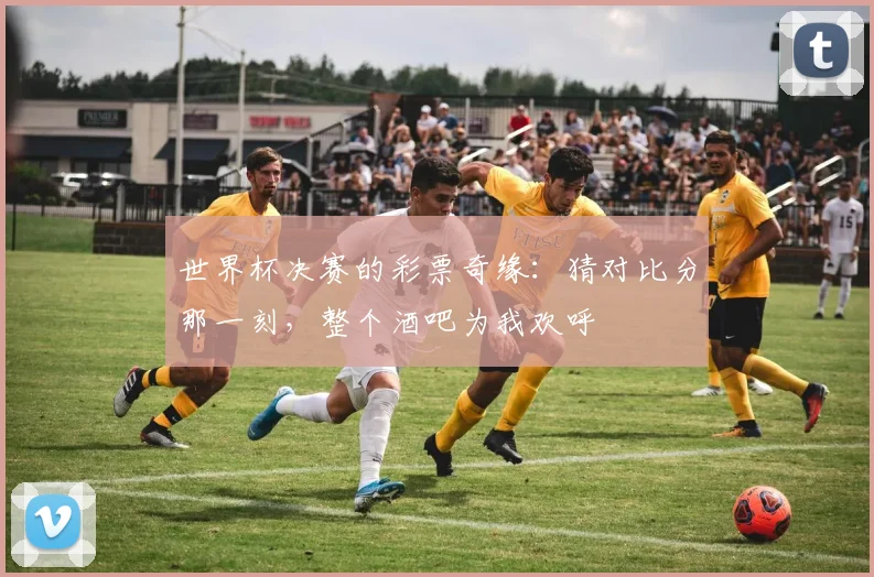 世界杯决赛的彩票奇缘：猜对比分那一刻，整个酒吧为我欢呼