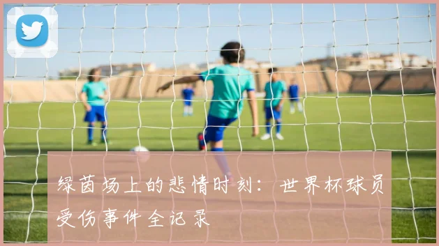 绿茵场上的悲情时刻:世界杯球员受伤事件全记录