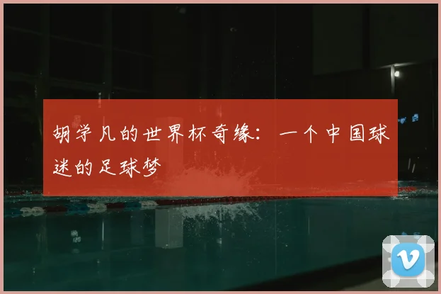 胡学凡的世界杯奇缘：一个中国球迷的足球梦