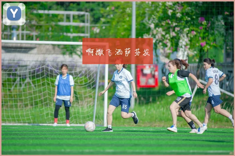 世界杯观赛APP全解析：从功能到体验的深度对比