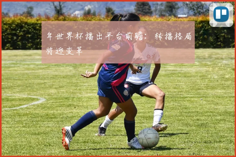 年世界杯播出平台前瞻：转播格局将迎变革