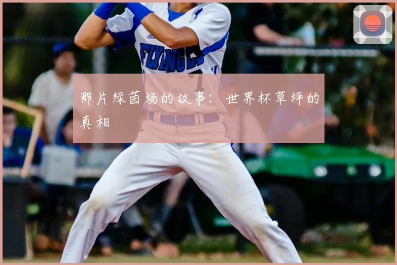 那片绿茵场的故事：世界杯草坪的真相