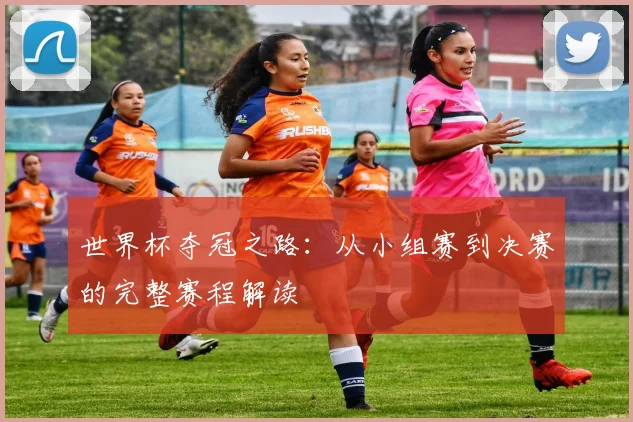 世界杯夺冠之路：从小组赛到决赛的完整赛程解读