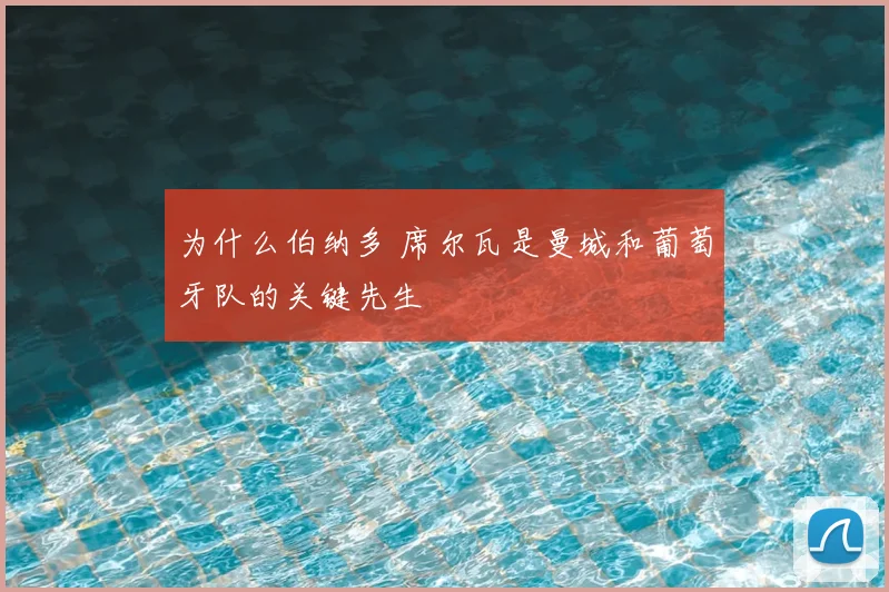 为什么伯纳多 席尔瓦是曼城和葡萄牙队的关键先生