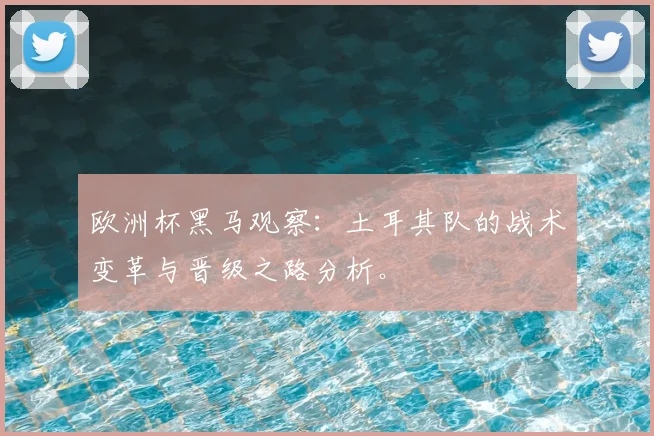 欧洲杯黑马观察：土耳其队的战术变革与晋级之路分析。