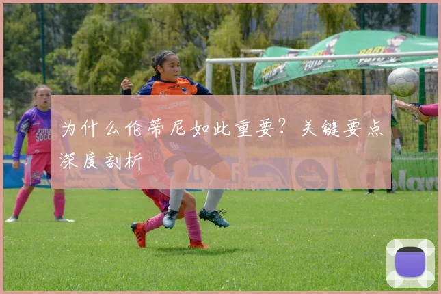 为什么伦蒂尼如此重要？关键要点深度剖析